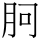 B03636
